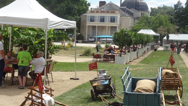 2026 fete ane (15).jpg